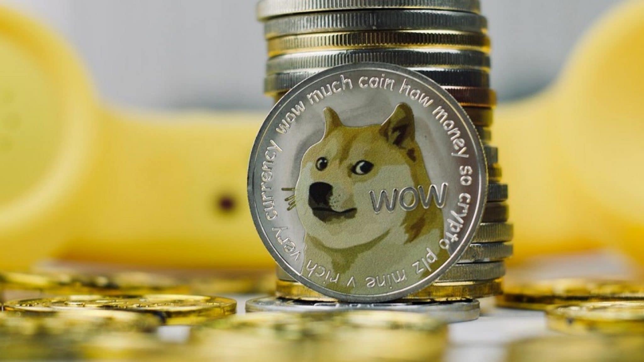 How much is shiba inu coin